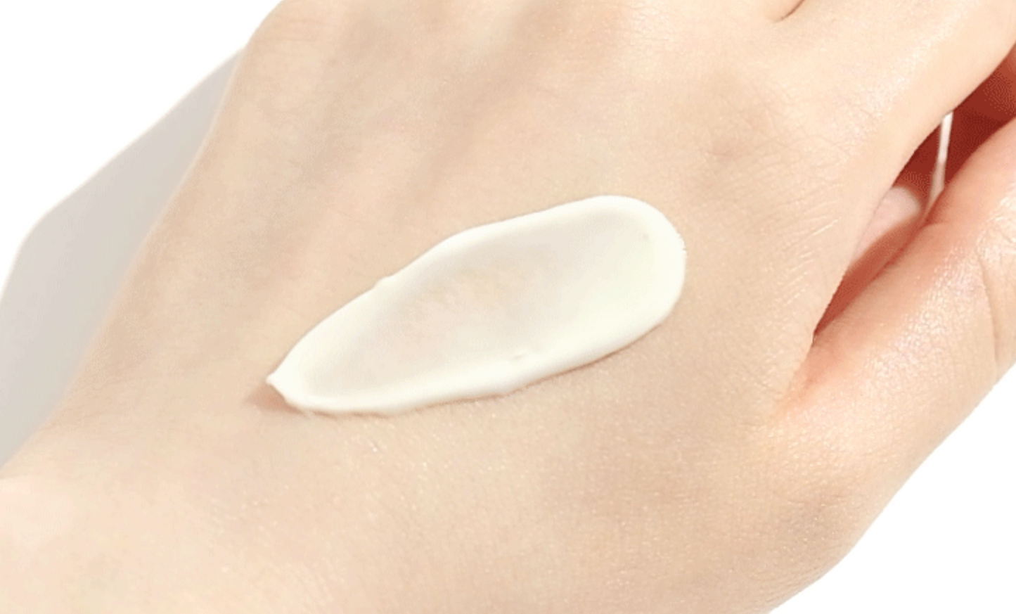 ROUND LAB | Protector Solar. Birch Juice Moisturizing Sun Cream – 50ml